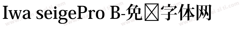 Iwa seigePro B字体转换